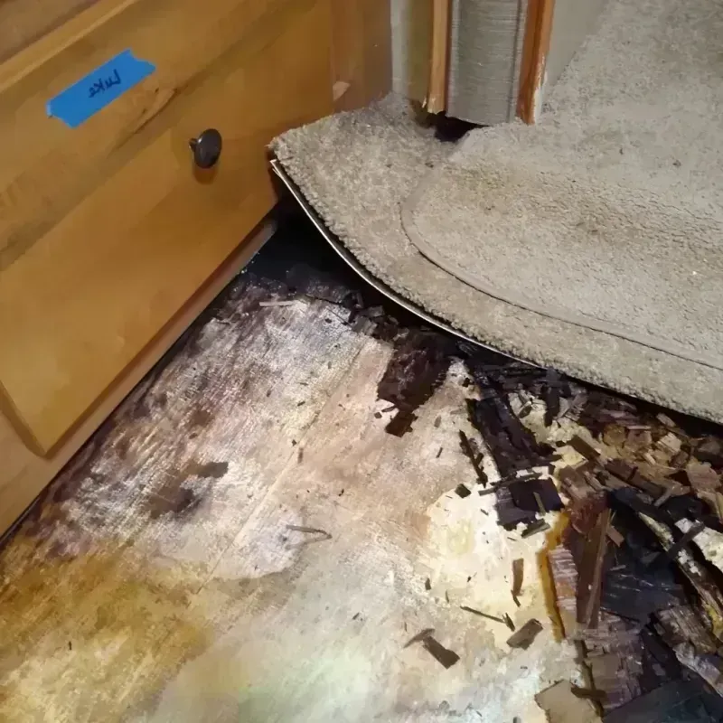 Wood Floor Water Damage in Ocean City, MD